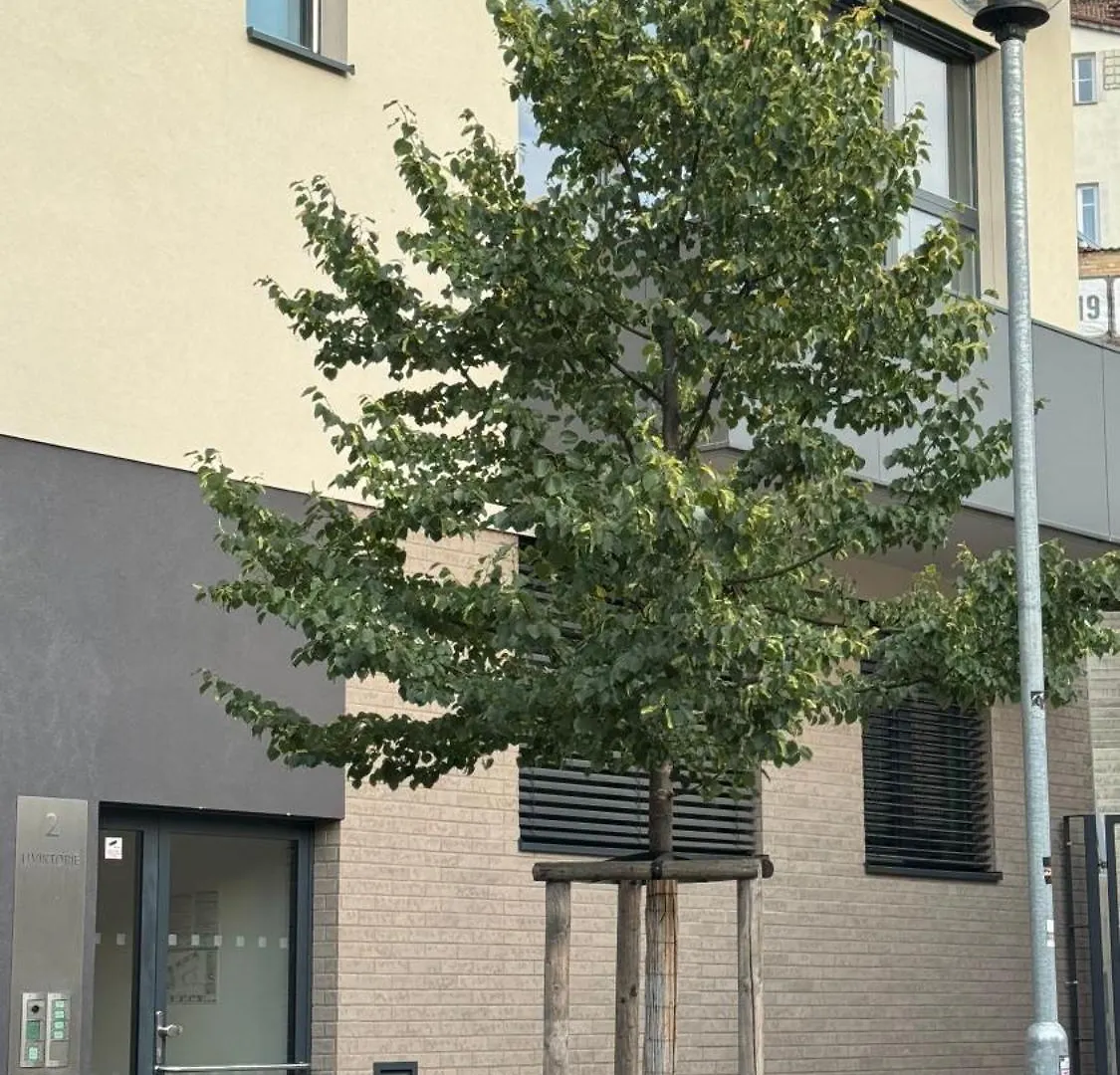 Spacious Urban Apartment With Terrace Prága